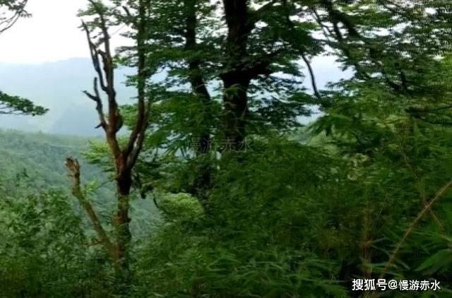 每周「做四休三」会成为趋势吗？