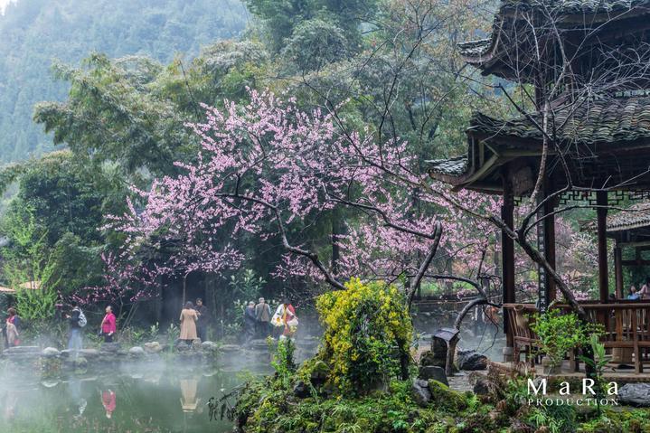 嫩豆腐怎么炒不会散呢？